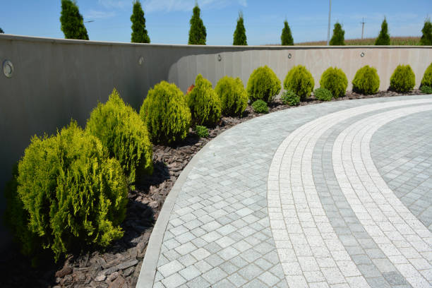 Best Best Driveway Pavers  in Trumann, AR